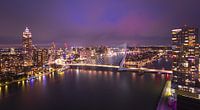 Rotterdam from World Port Center
