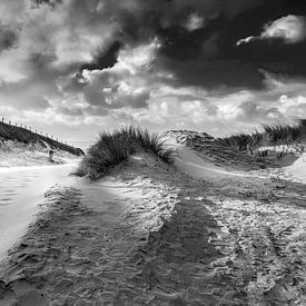Küstenstrand und Düne mit viel Wind von eric van der eijk
