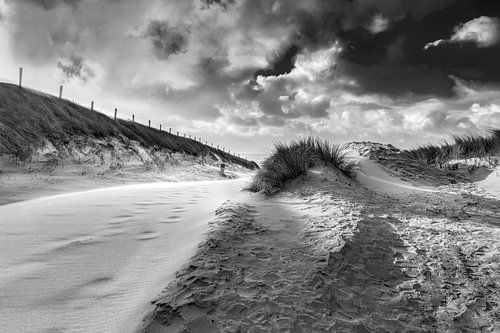 Küstenstrand und Düne mit viel Wind