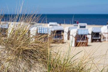 Duingras met strandstoelen aan de Oostzee op Usedom van Animaflora PicsStock