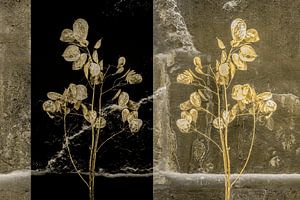 Stilleben Judas-Pfennig. Blumenporträt. Digitale Kunst