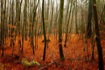 Bomen lijken te dansen in de herfst van Dieter Ludorf