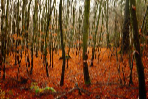 Les arbres semblent danser en automne
