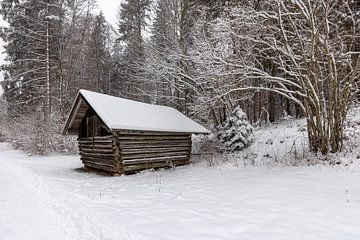 Hooischuur in winterlandschap van Christina Bauer Photos