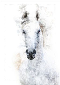 White horse by Theodor Decker