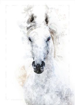 White horse