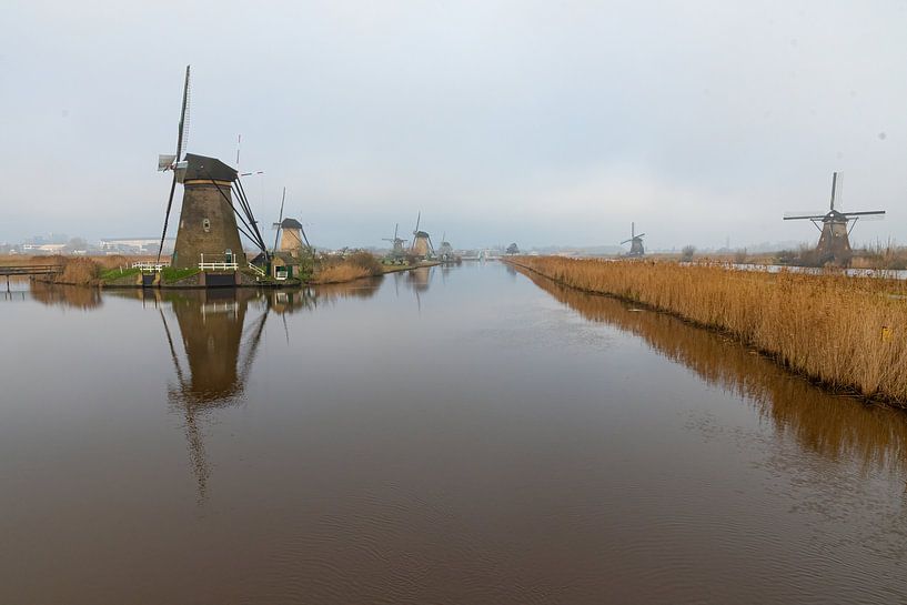 Windmühle Kinderdijk von Merijn Loch