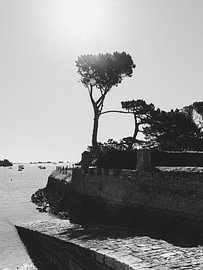 quay of Île de Bréhat von Michael Schulz-Dostal