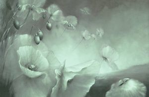 Fleeting - white mohflowers_