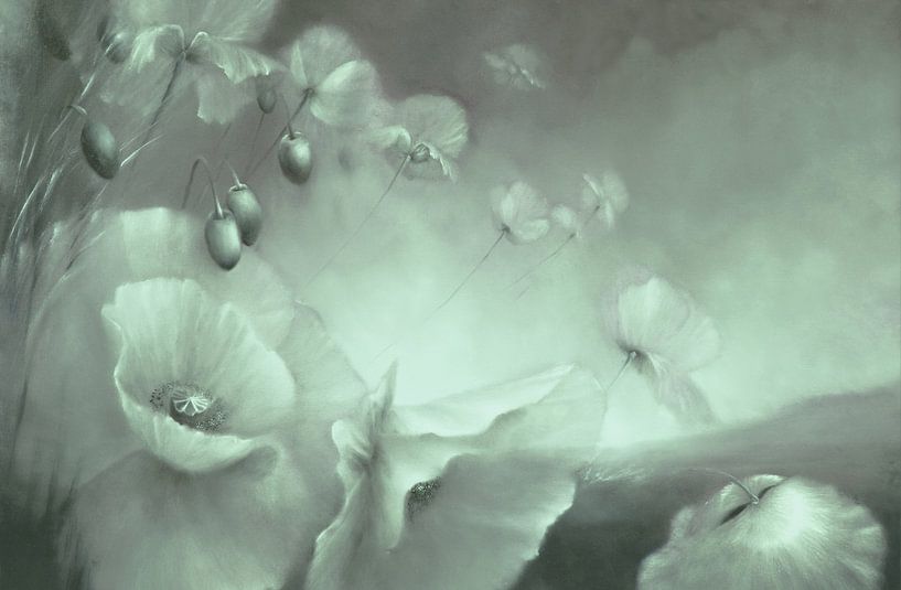 Fleeting - white mohflowers_ by Annette Schmucker