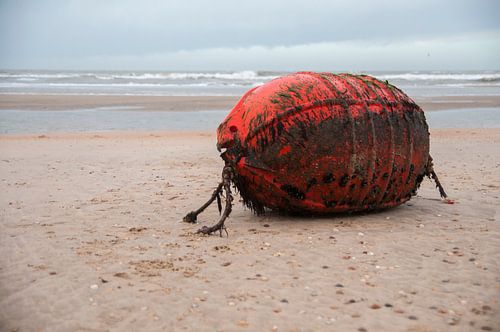 What Happened to the Boat? by Edgar Lanting