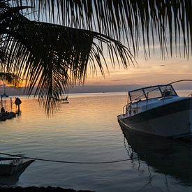 Zonsondergang op Caye Caulker van Dennis Werkman