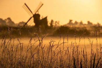 Mühle bei Sonnenaufgang | Zaanse Schans Niederlande