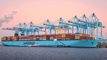 APM Terminals Maasvlakte te Rotterdam van Vincent Verdoold Photography