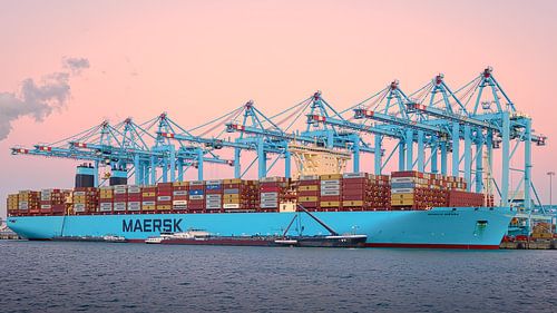 APM Terminals Maasvlakte in Rotterdam von Vincent Verdoold Photography