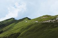 Hehuanshan, groene berg in het middan van het eiland Taiwan van Michiel Dros thumbnail