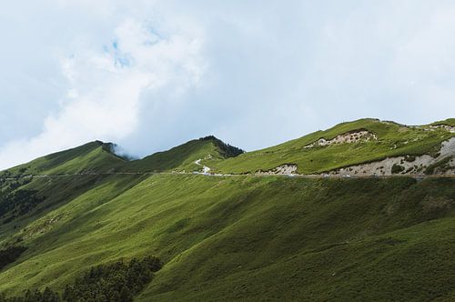 Hehuanshan, groene berg in het middan van het eiland Taiwan