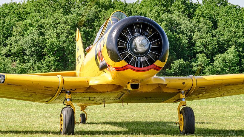 North American T-6G Texan. by Jaap van den Berg