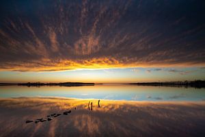 Coucher de soleil sur les bords de l'IJsselmeer et du Flevoland