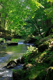 Romance sur Thomas Jäger