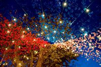 Buntes Dorffest