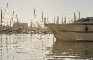 Spanien Palma de Mallorca, Luxusyachten im Yachthafen, von Alex Winter
