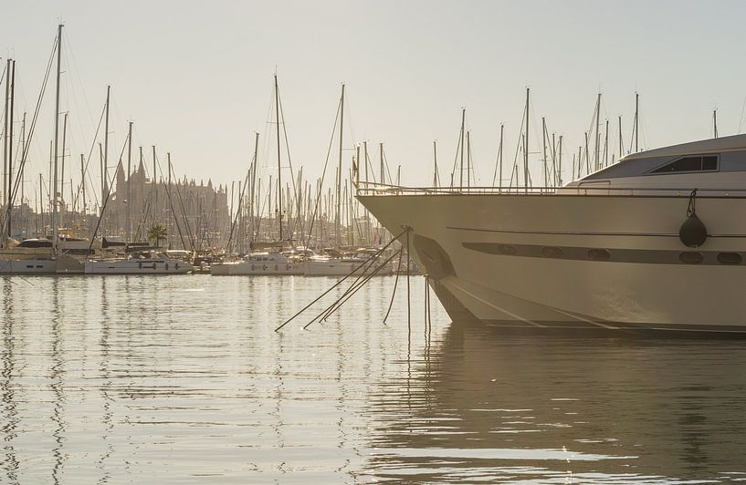 Spanje Palma de Majorca, luxe jachten in de haven van de jachthaven, van Alex Winter