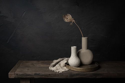 Natural Shelter - Dark still life with dried daucus carota and earthenware vases