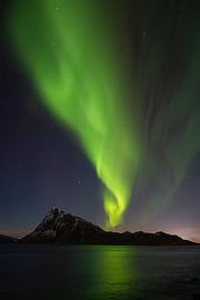 Nordlichter Lofoten von Desiree van Oeffelt