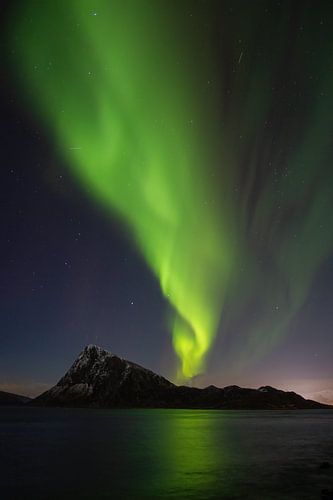 Northern Lights Lofoten