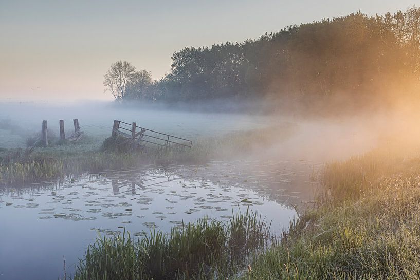 Un ruisseau dans l'Onnerpolder par Karin Broekhuijsen