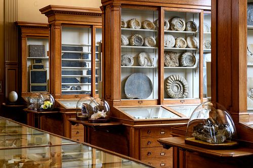 Fossielenzaal 2 - Teylers Museum