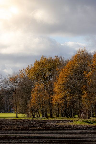 Herbstrost am Waldrand von Sebastian Stef