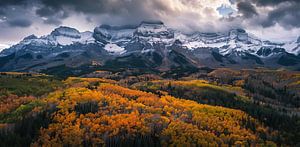 Nebelschleier im Herbst
