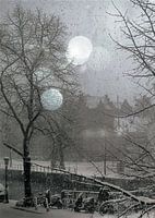 Snow  in Amsterdam