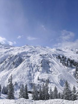 Snow-covered Alpine peak with ski tracks and trees