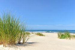 Été à la plage