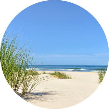 Zomer op het strand van Sjoerd van der Wal Fotografie