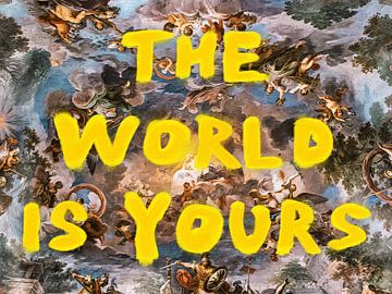 De wereld is van jou. van Sascha Hahn
