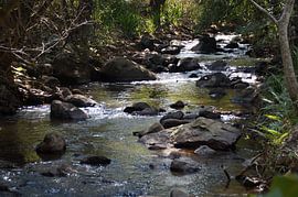 Rivier / River, Mlilwane, Swaziland, Zuid-Afrika