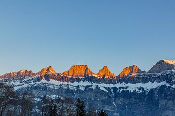 Churfirsten vanaf Flumserberge bij dageraad Alpengloed bij zonsopgang in januari