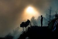 Dans les nuages sur la montagne