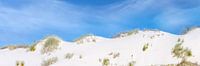 WHITE SANDS  Idyllisch Panorama van Melanie Viola thumbnail