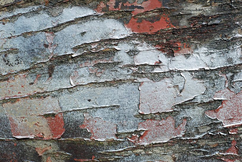 Oud hout, verweerd, gevonden langs de gaasperplas in Amsterdam von Anne Hana