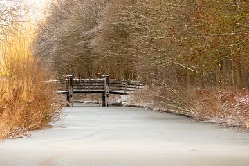Bridge in a snowy landscape
