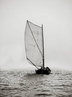 Door de mist