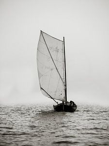 Durch den Nebel