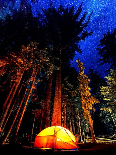 Alles wat ik nodig heb