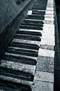 piano toetsen van Jo Beerens thumbnail