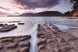 Eaglehawk Neck - Tessellated pavement - Tasmania